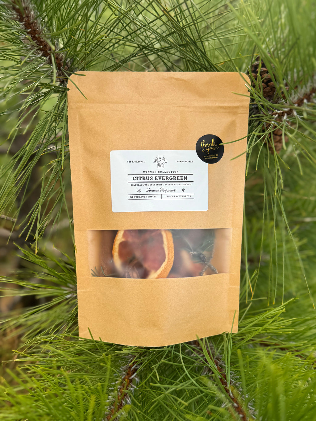 Citrus & Spice Simmer PotPourri