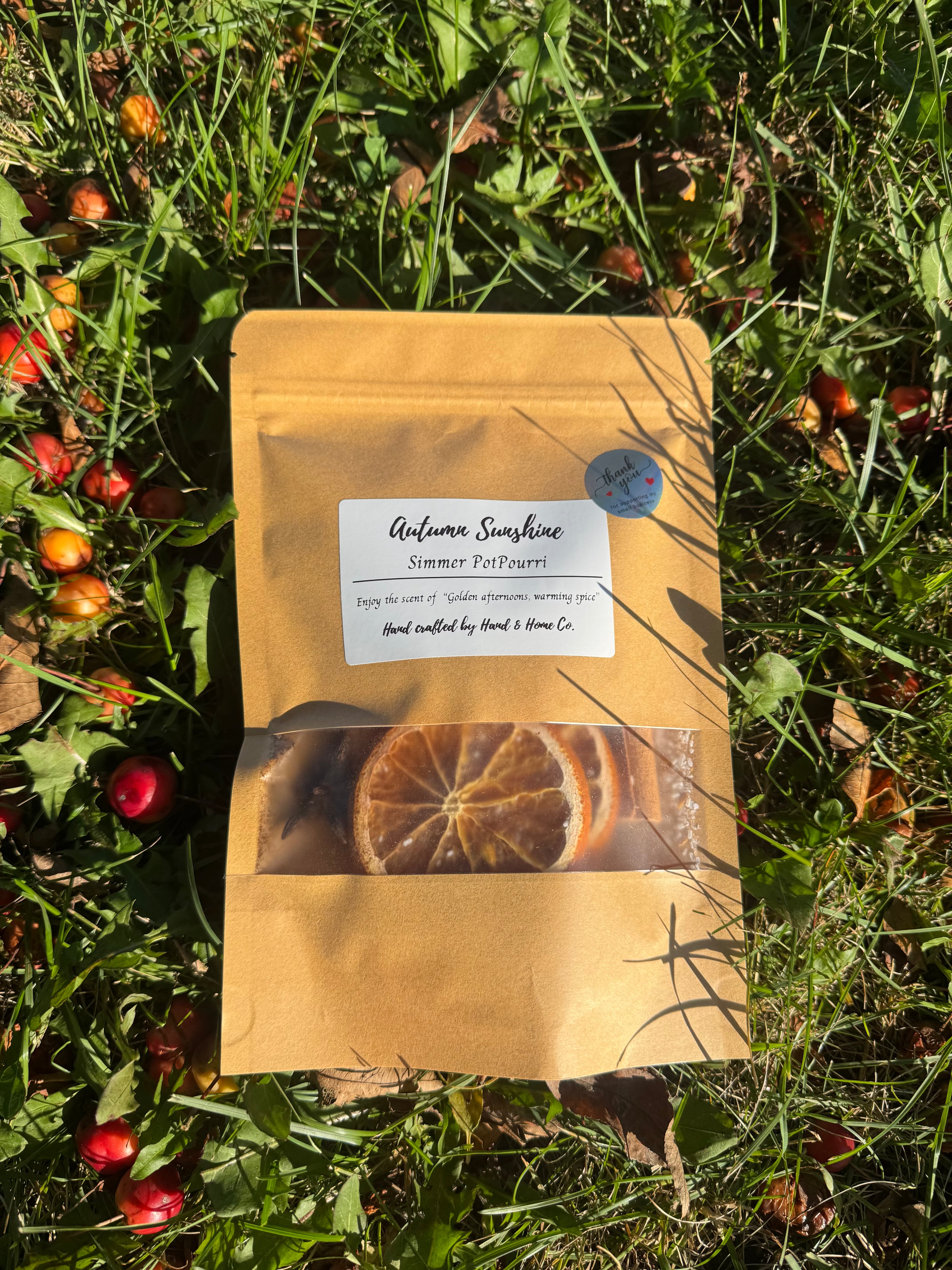 Autumn Sunshine Simmer PotPourri